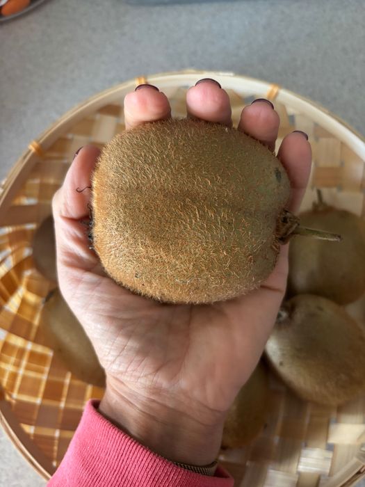 Kiwis 100% Biologicos