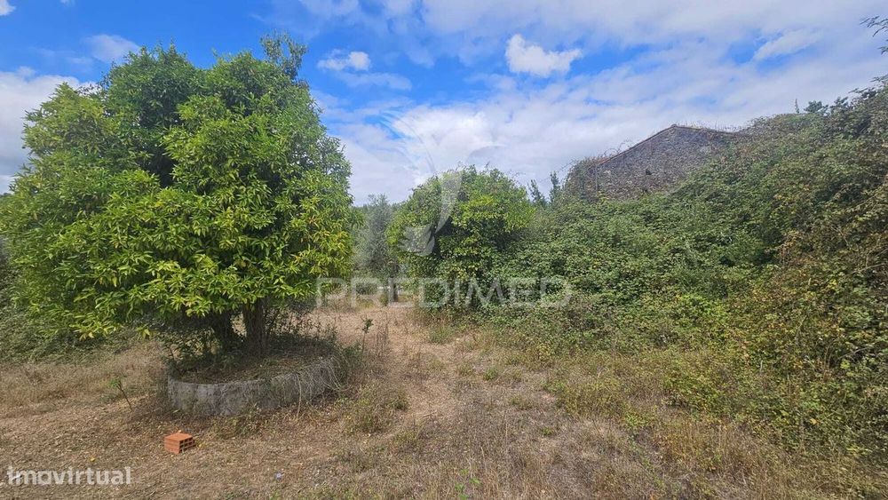 Quinta Com 14.280 M² | 3 Ruínas | 5 Poços | Nascente | Perto De Dor...