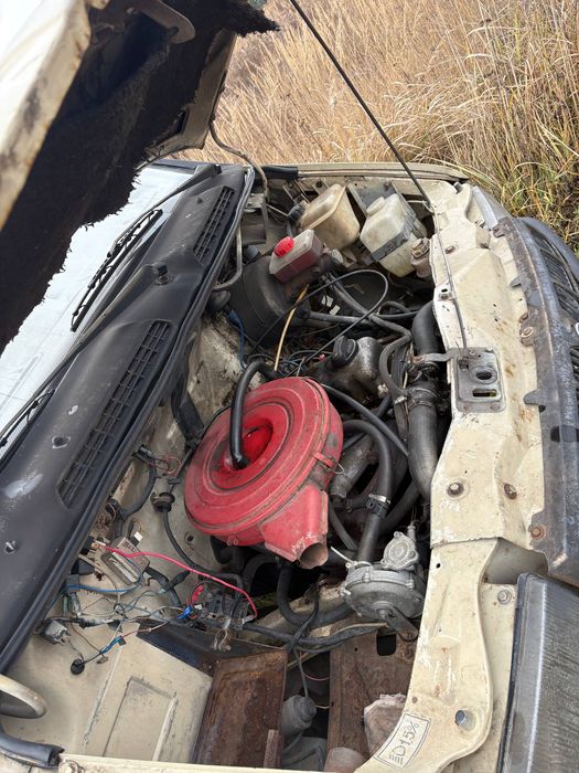 Газель газель газель