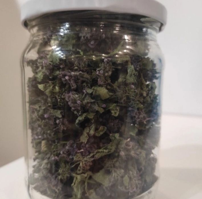 Bluszczyk Kurdybanek suszony 15 g