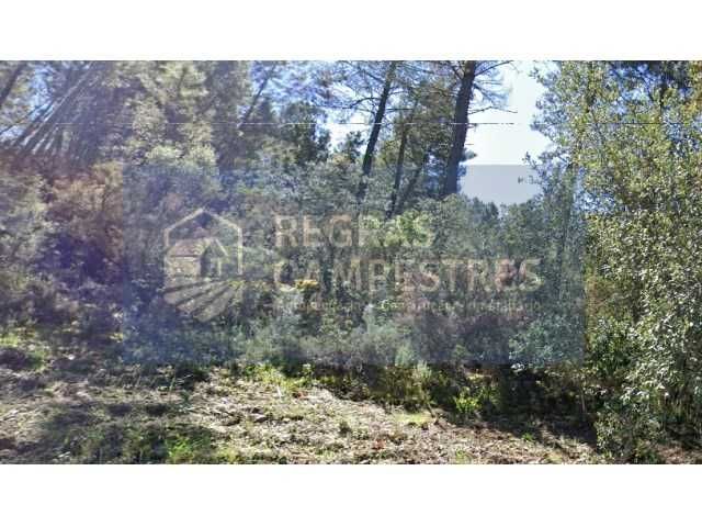 TERRENO RÚSTICO (FLORESTAL) SILVARES - FUNDÃO