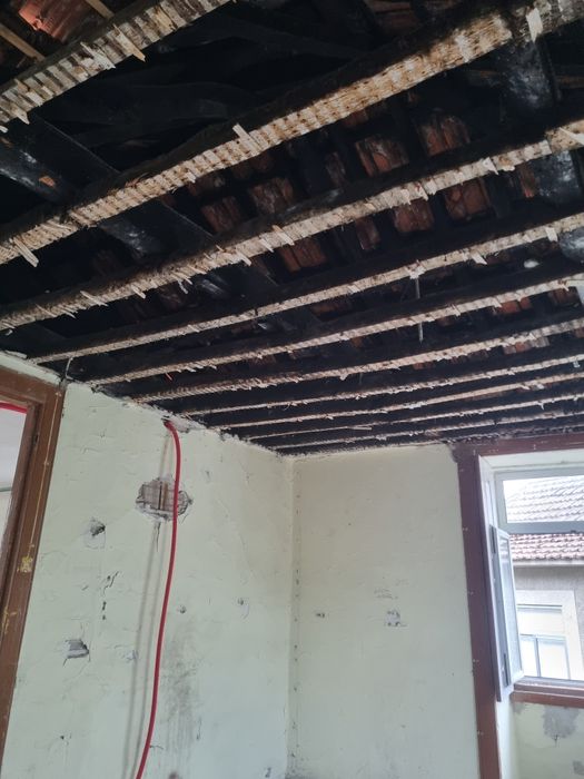 Demolições e terraplanagem - Serviço Profissional