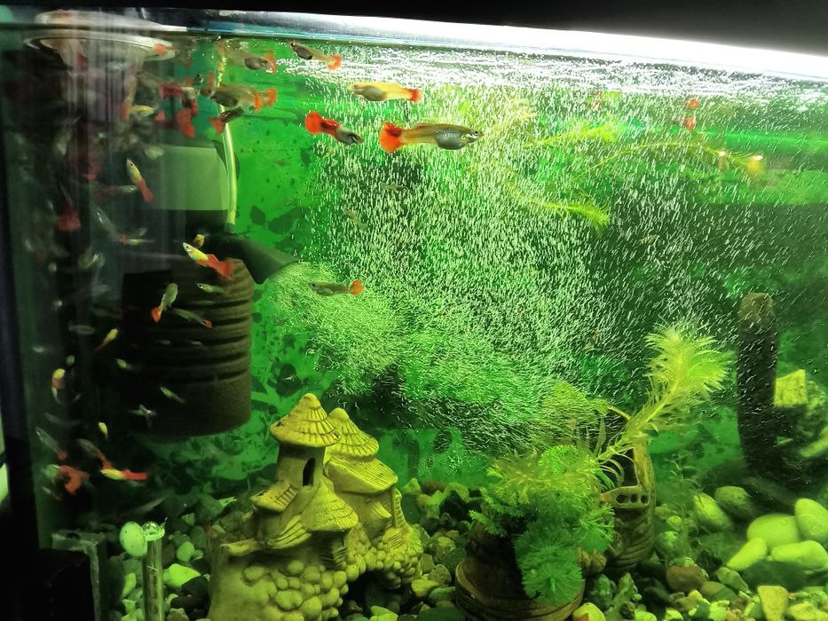 Akwarium profilowane  120 l plus drugie 60 litrów