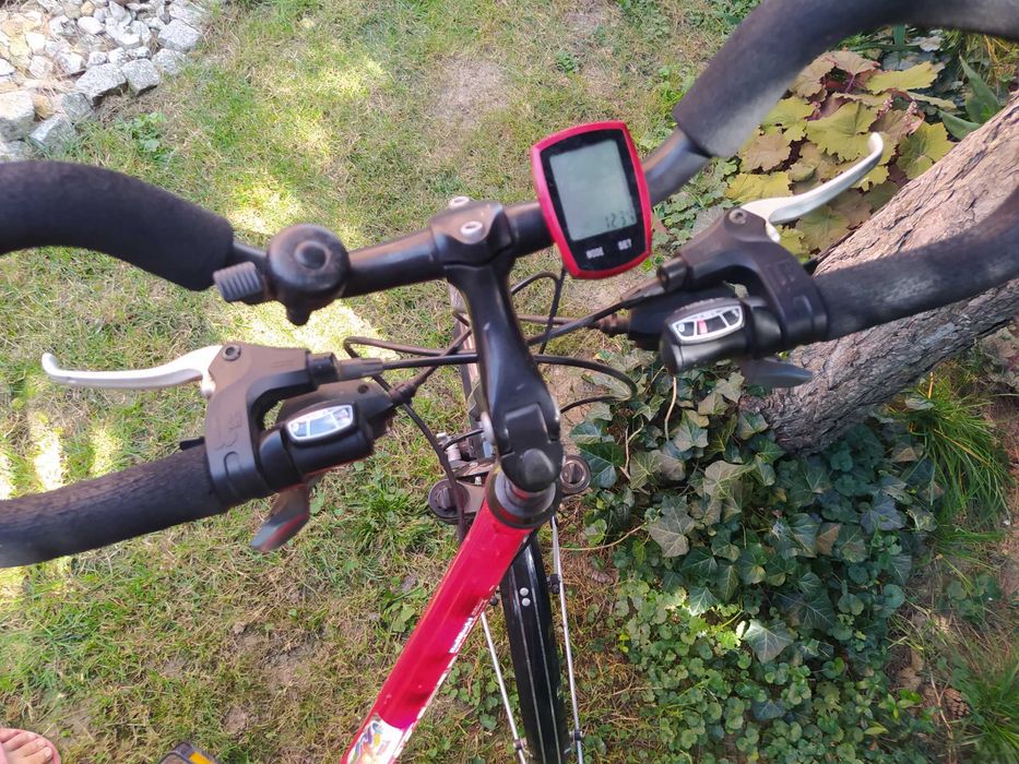 Rower miejski Carver Alaska