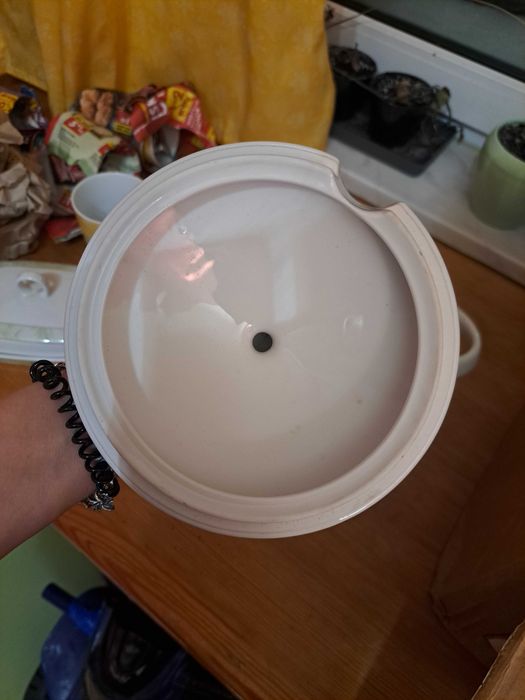 Waza Lubiana Roma Provence 0495