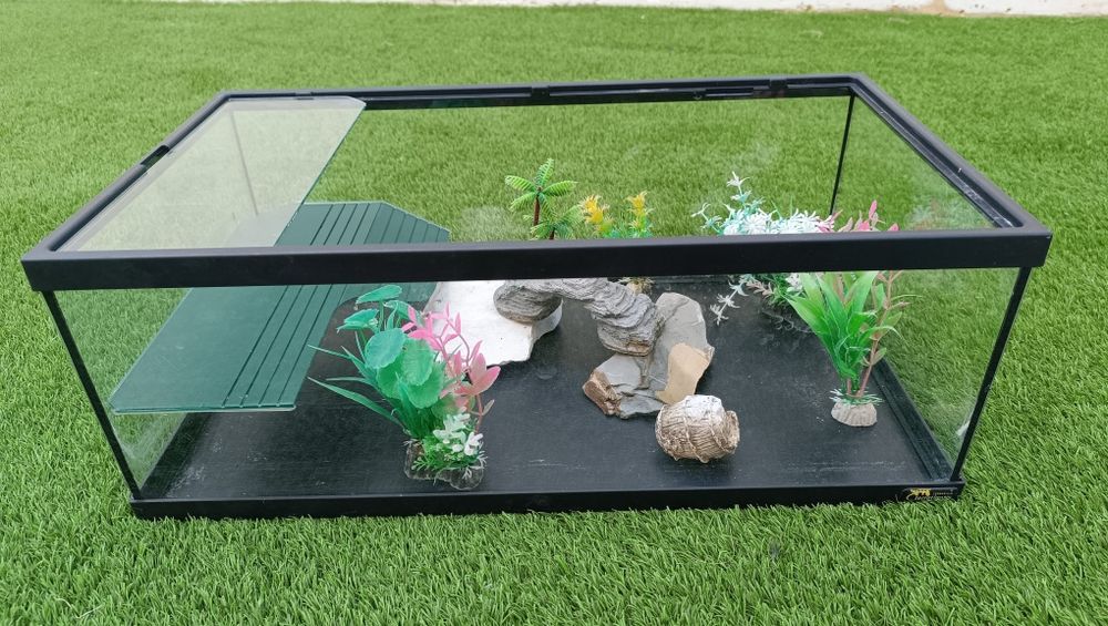 Tartarugueira/ Terrarium