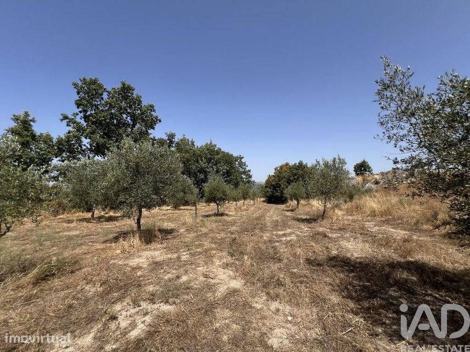 Terreno em Sernancelhe e Sarzeda de 44527,00 m2