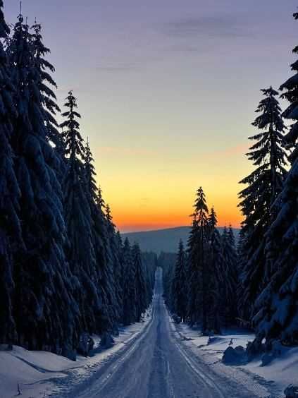 Narty biegowe Fischer RCS Skate 177 cm SNS Pilot