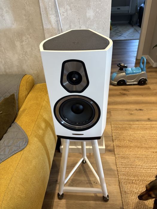 SolidSteel SS6 Speaker Stands + IsoAcoustics Gaia III Isolation Feet – High-End Audio Setup64552703087361122