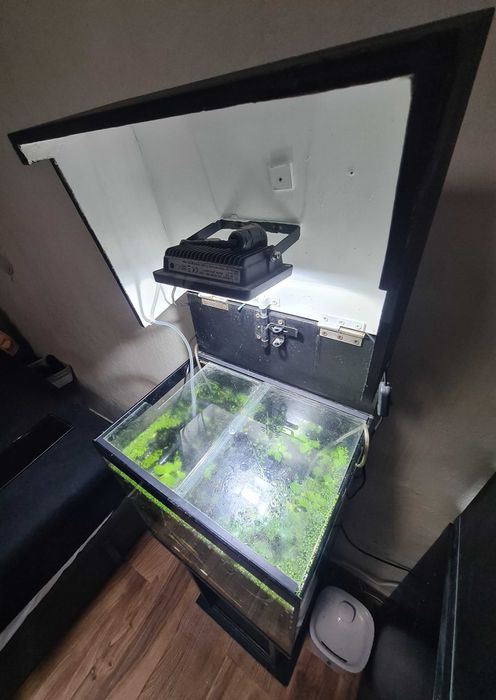 Aquário 40 com móvel