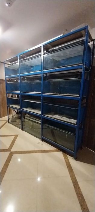 Продам аквариумы 9 шт 140*60*40