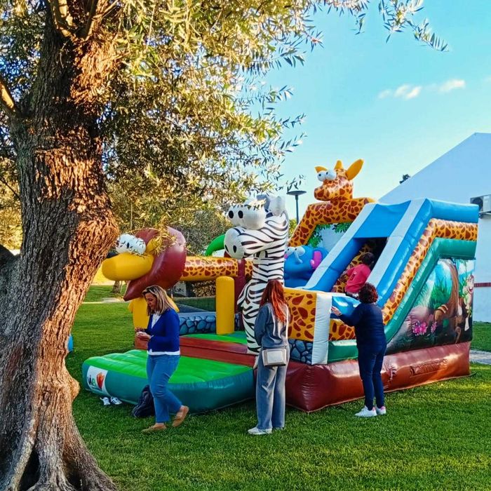 Animação de Festas Infantis e Aluguer de Insufláveis