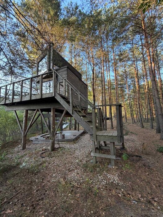 Wyjątkowa działka leśno-budowlana 4253 m² z gotowym biznesem – Warszawa Wesoła (Stara Miłosna) - Widok 5