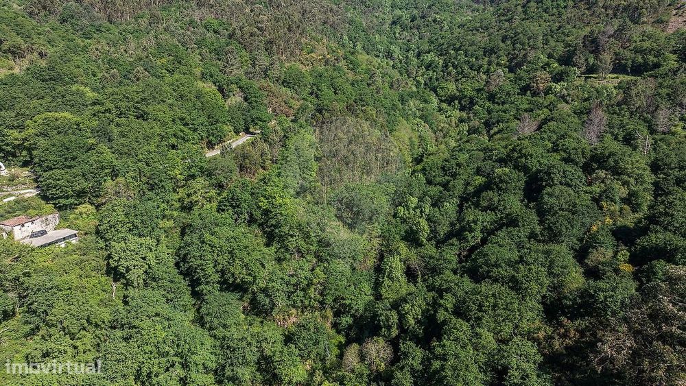 Terreno  para venda