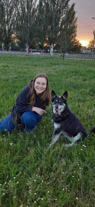 Вигул собак. Дніпо, АНД( Ліобережний 2, Лівобержний 3, Березінка)