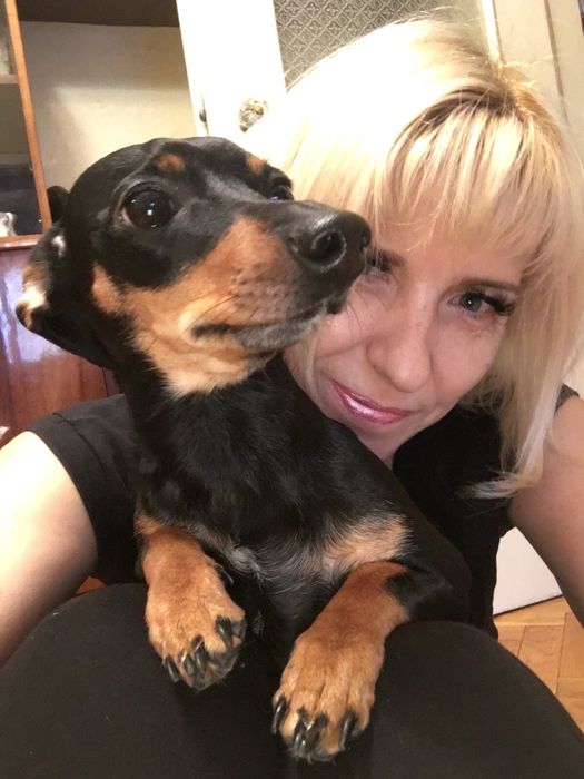 Квартирная передержка/отель