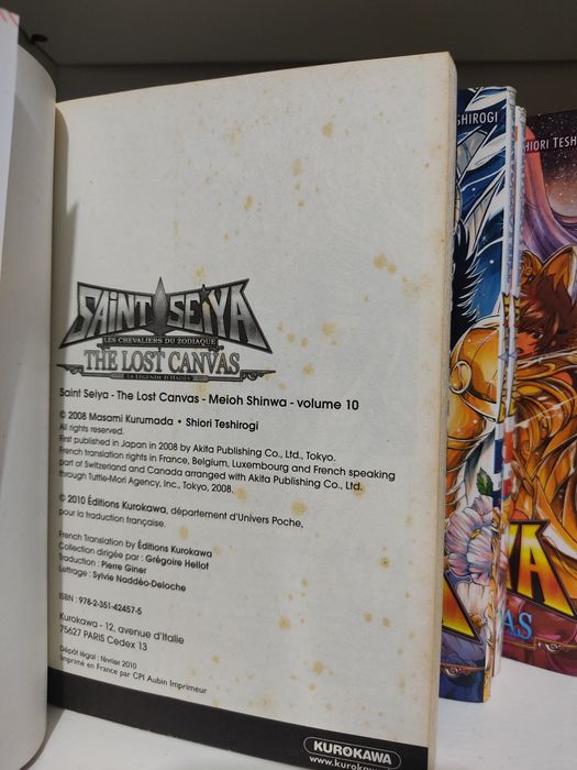 Saint Seiya Lost Canvas em Francês
