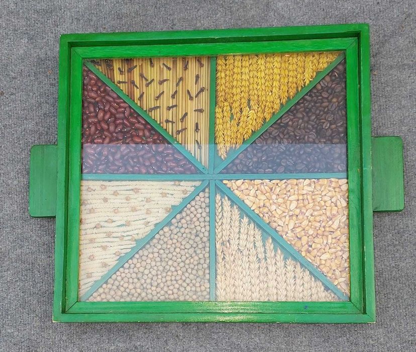 Tabuleiro Decorativo