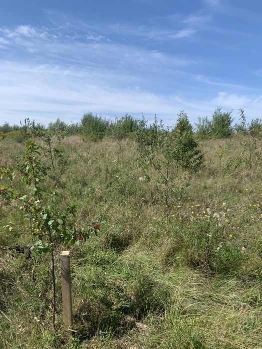 Земельна ділянка під забудову с. Прилбичі