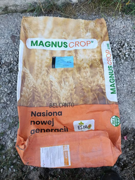 Pszenżyto Rotondo i Belcanto/Jęczmień ozimy Kosmos