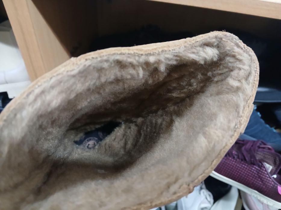 Panama Jack 38 р/24,5 см сапоги  оригинал