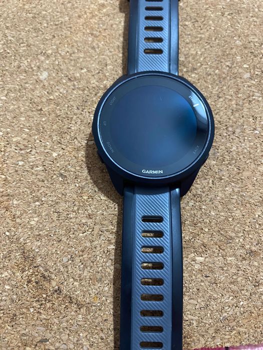Garmin forerunner 165