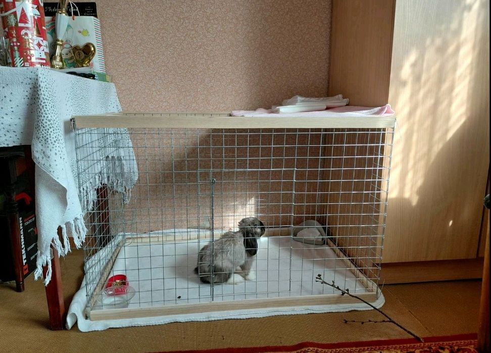 Манеж, Вольер, Клетка для собак, щенков, кроликов, котят, кошек