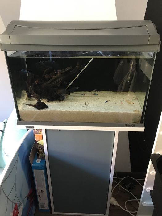 Akwarium 60 l