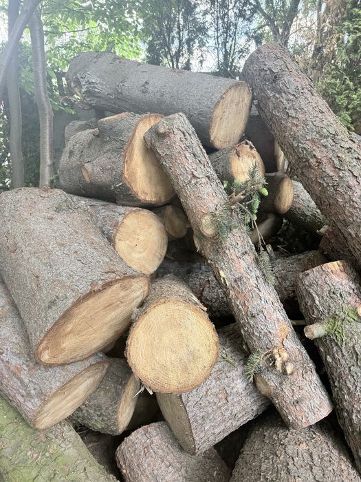 ‼️Sprzedam drewno opałowe – świerk i sosna‼️  Sprzedam drewno opałowe: świerk i sosna.