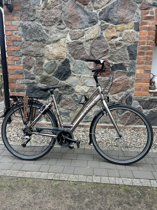 Rower Gazelle Chamonix Trekking