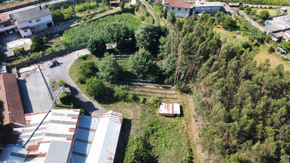 Vendo Monte, Armazem e Terras