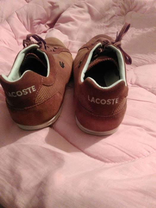 Оригинал Lacoste