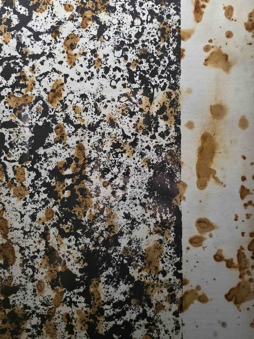 "Sem Título #4" — Gravura e ferrugem sobre papel Fabriano, 70x100 cm