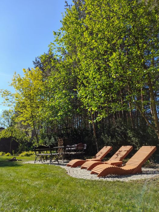 Hortensja domek do wynajęcia