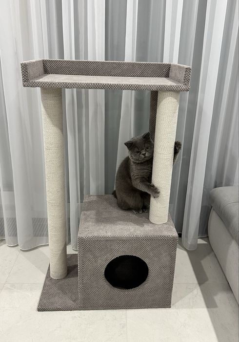 Будиночок, кігтеточка для котиків