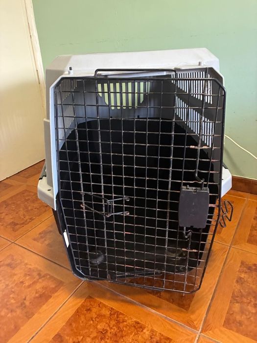 Transportadora para cão