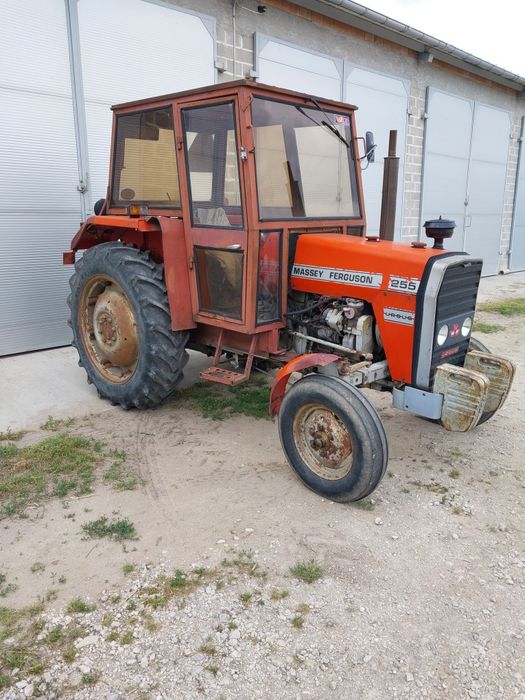 Sprzedam Massey Ferguson 255 Sędowo • OLX.pl