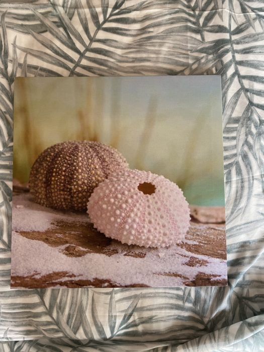 Quadros com motivos marinhos64550772075779123