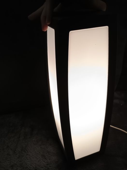 Kinkiet zewnętrzny Meridian Box IP 54 slv