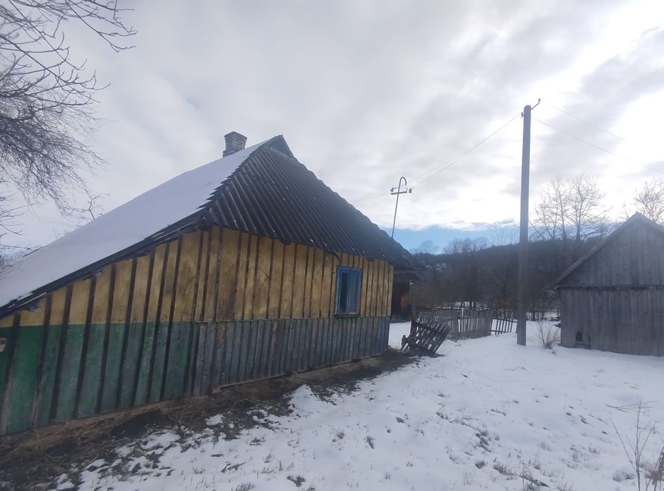 Будинок біля лісу, річки, Карпати