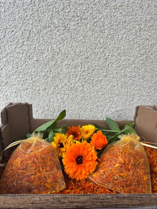 Suszone płatki nagietka lekarskiego 20 gram