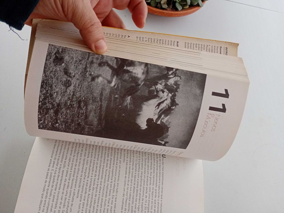 Introdução à Biologia