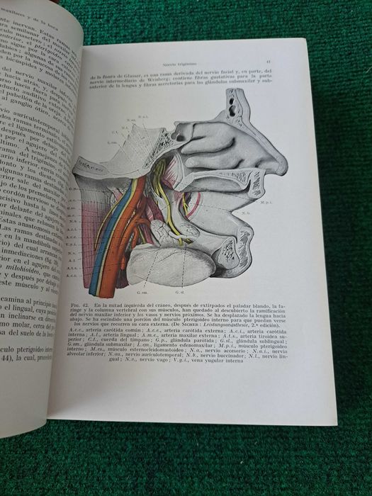 Tratado de Odontologia - Pirt