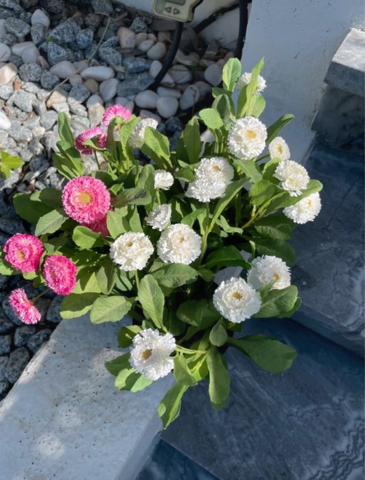 Lote de 3 vasos com flores artificiais, IKEA