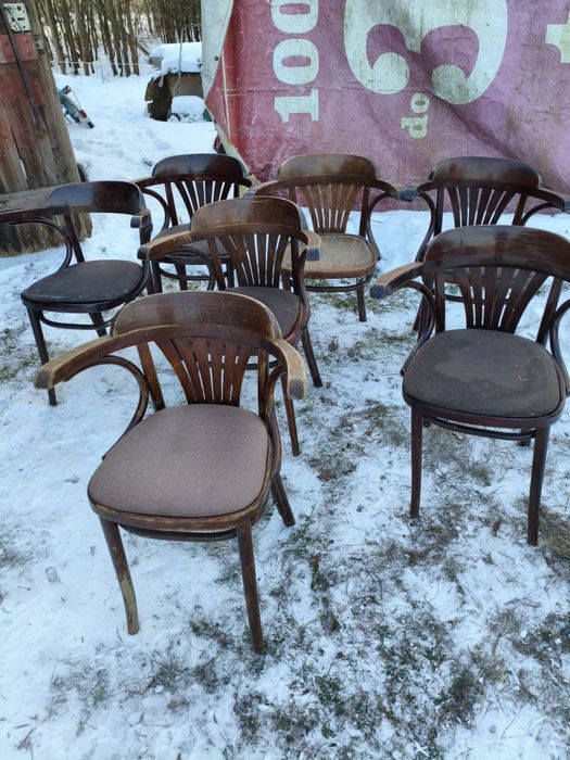 6szt Krzesła gięte drewniane z tapicerką Thonet (Fameg b165