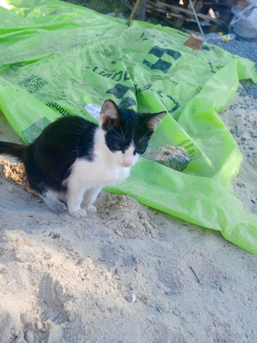 У люблячі руки чудовий хлопчик