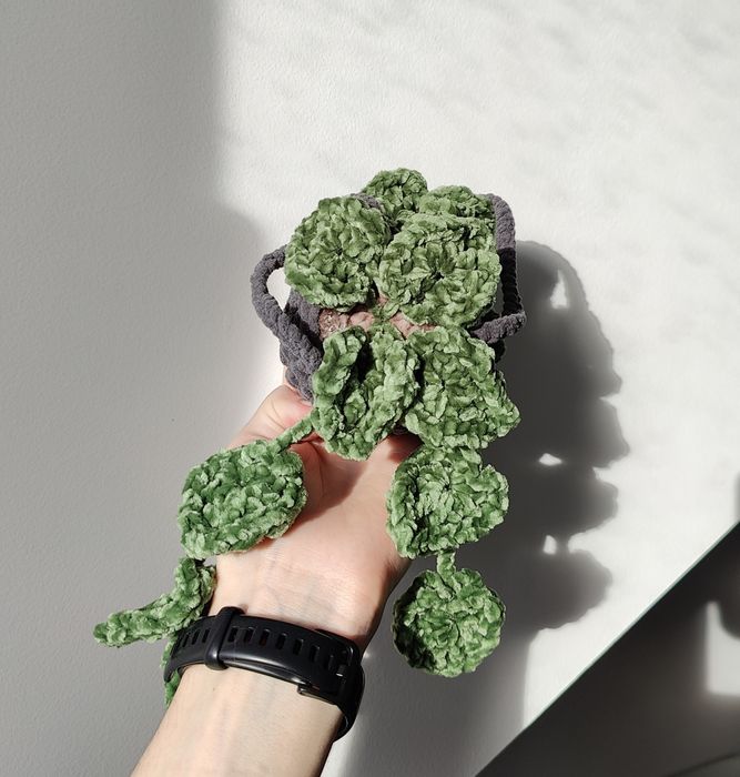 Planta Monstera Pendente - Crochet