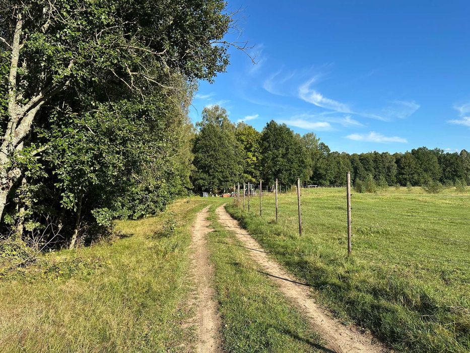 Sprzedam dzialki rolne