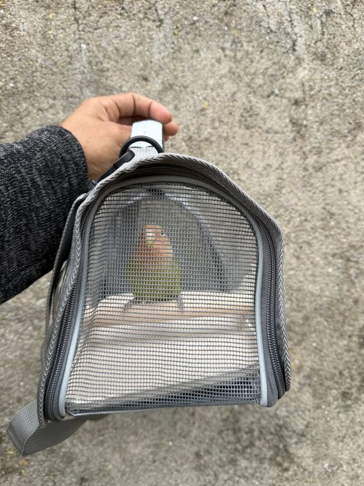 Bolsa de transporte de aves