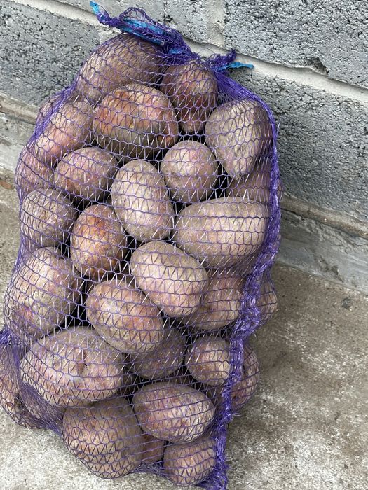 Sprzedam ziemiaki Bellarosa